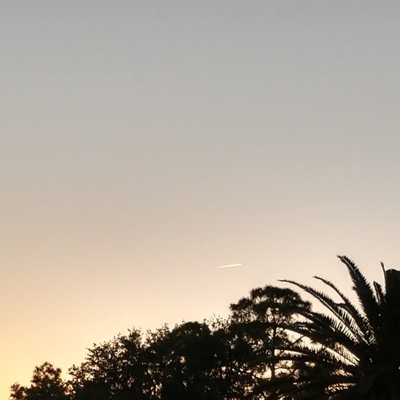 Meet your Posher, Donna - Picture 1 of 1